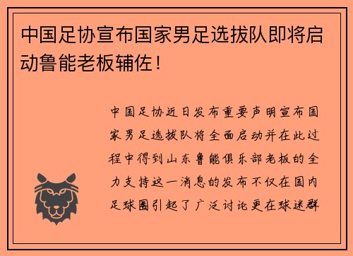 中国足协宣布国家男足选拔队即将启动鲁能老板辅佐！