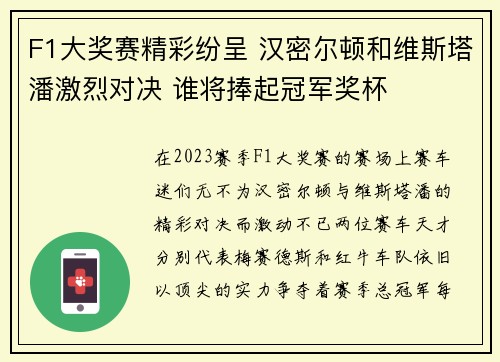 F1大奖赛精彩纷呈 汉密尔顿和维斯塔潘激烈对决 谁将捧起冠军奖杯